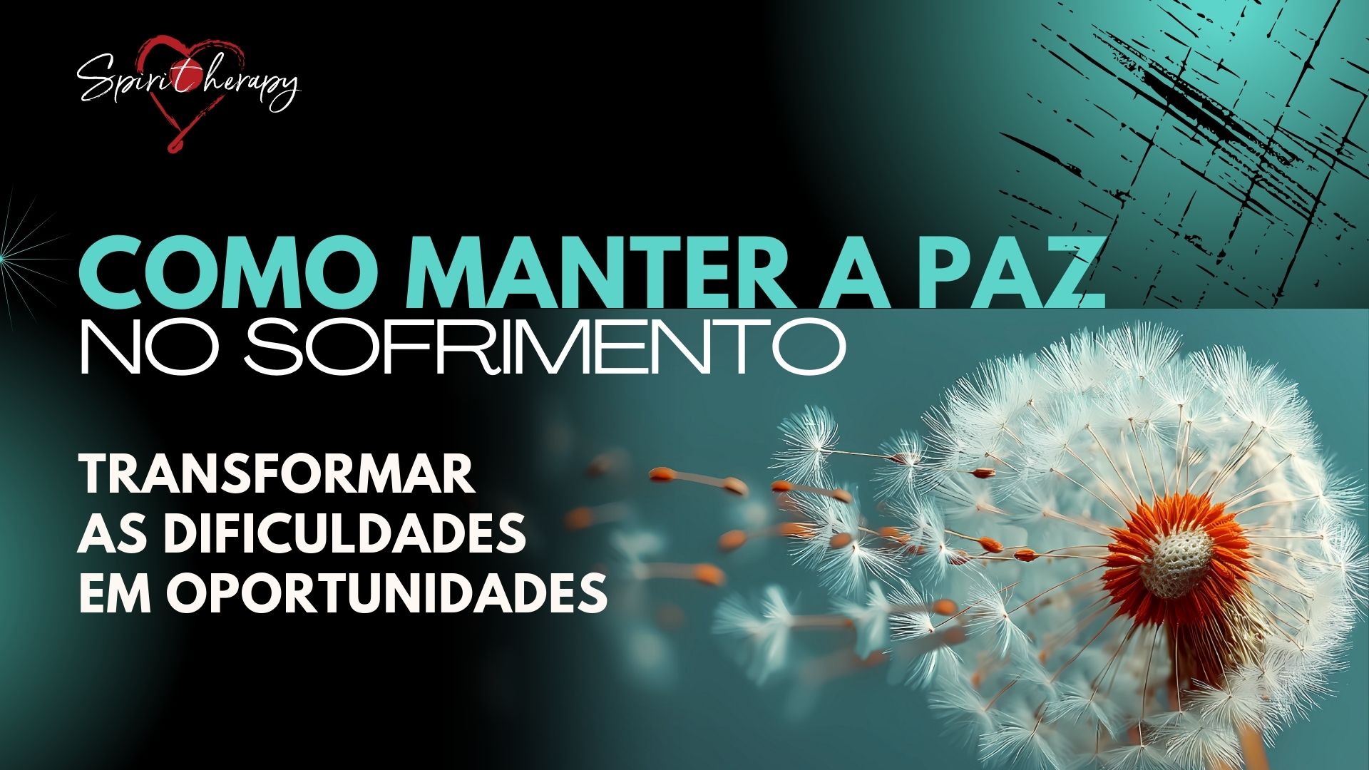 COMO MANTER A PAZ NO SOFRIMENTO - Chiara Amirante